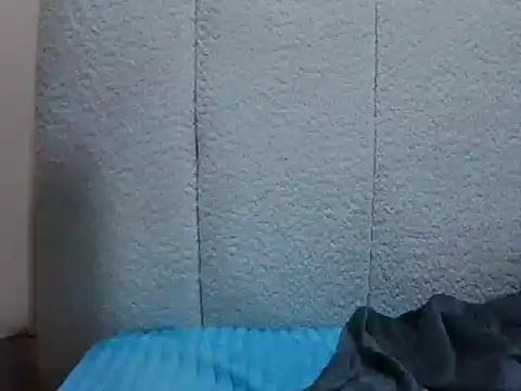 Tehiller webcam