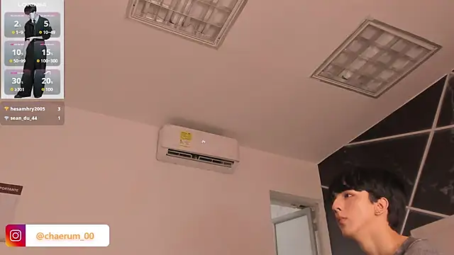 AerumChae webcam