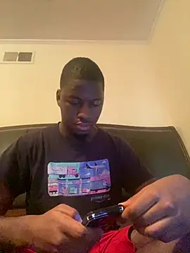 ThickDic28 webcam