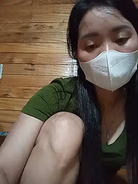 Td3di webcam
