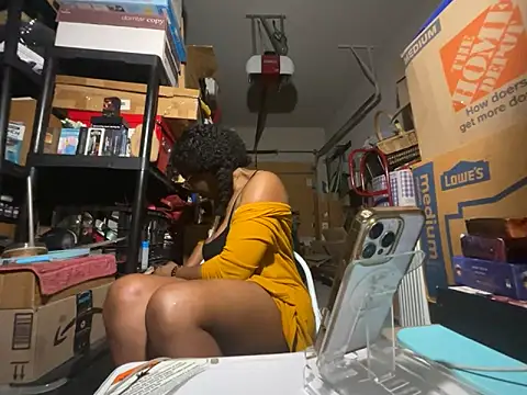 wynterheat webcam