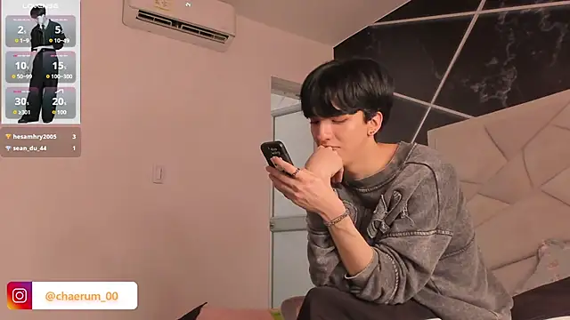 AerumChae webcam