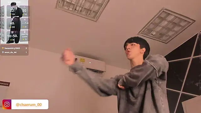 AerumChae webcam