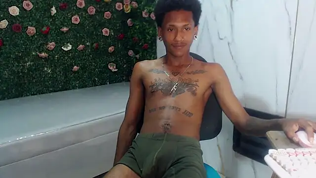 ManSant webcam