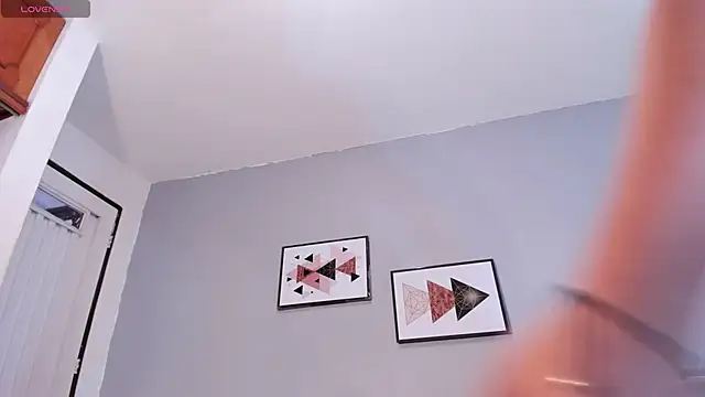 PauleteW10 webcam