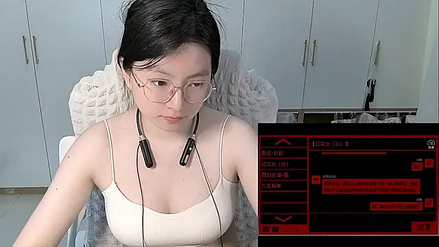 Erya-369 webcam