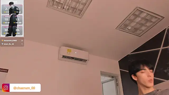AerumChae webcam