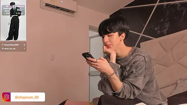 AerumChae webcam