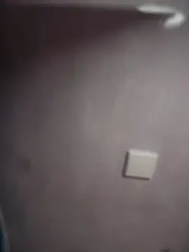 Sasha-firee webcam