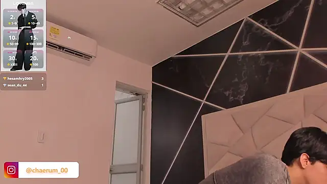 AerumChae webcam