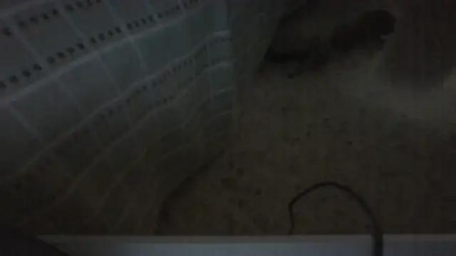 Miasexmilf webcam