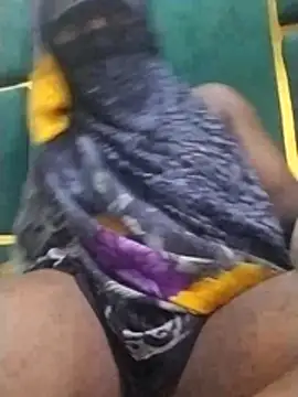 chocolate-puss webcam