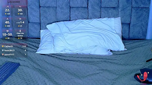 Dantekent webcam