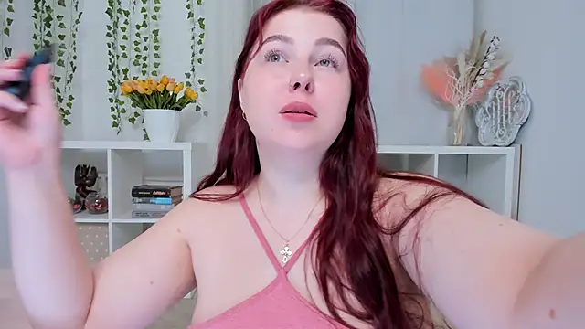 effyrain webcam