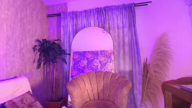 davis_saint webcam