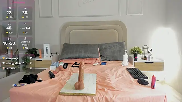 Liastarkk webcam