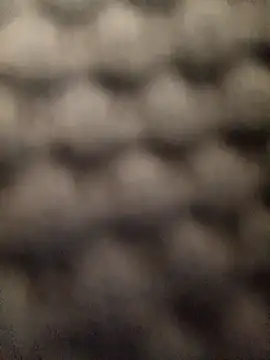 Maduro-Mariquita webcam
