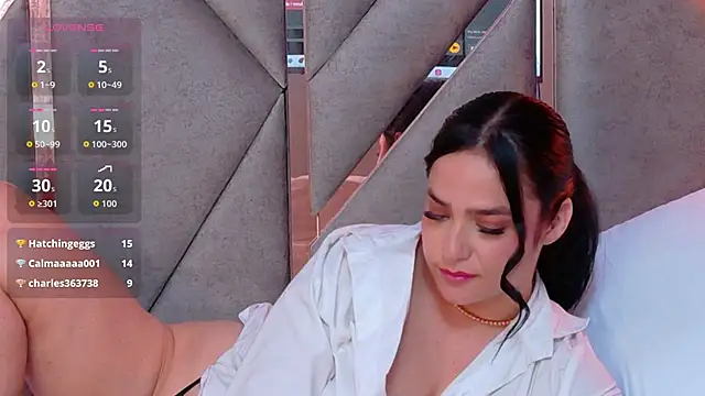 Laurent-Rose webcam