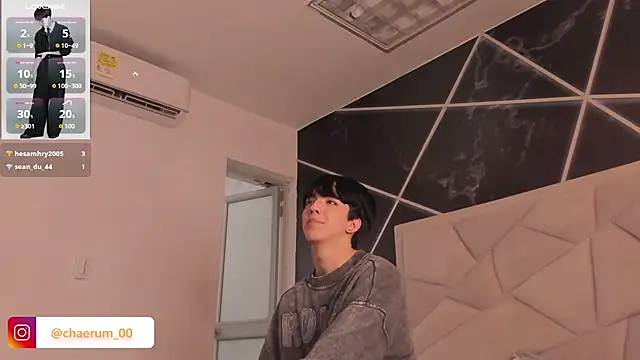 AerumChae webcam