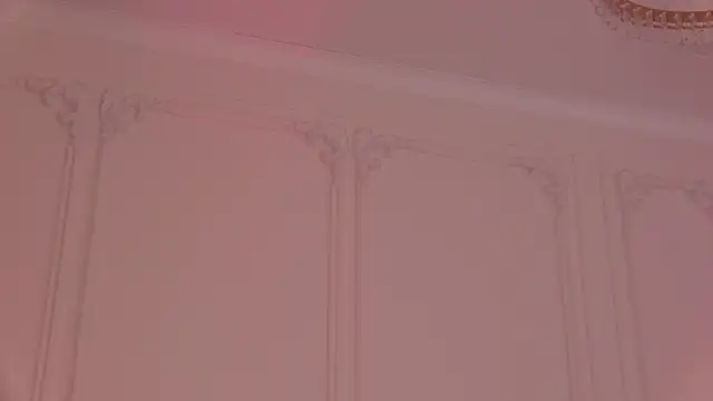 GinaFleming webcam