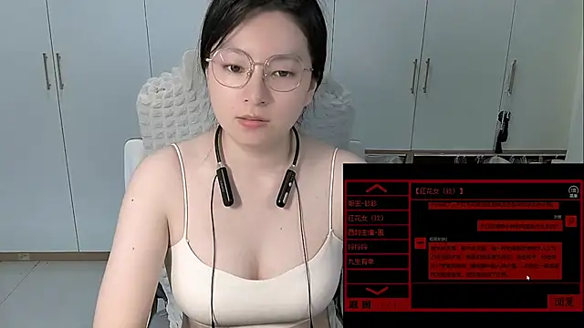 Erya-369 webcam