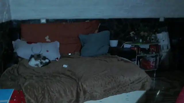 piticaforever webcam