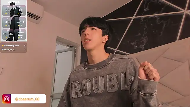 AerumChae webcam