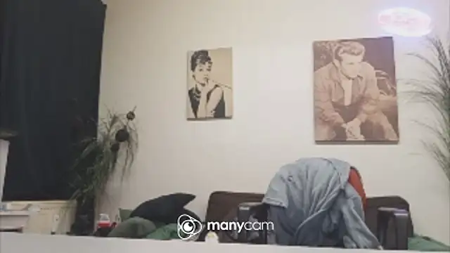 der_dino30 webcam