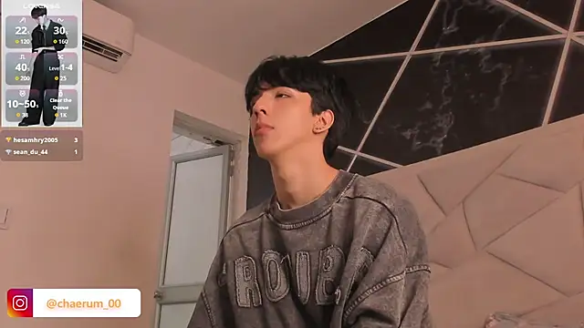 AerumChae webcam
