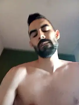 Pollota7 webcam