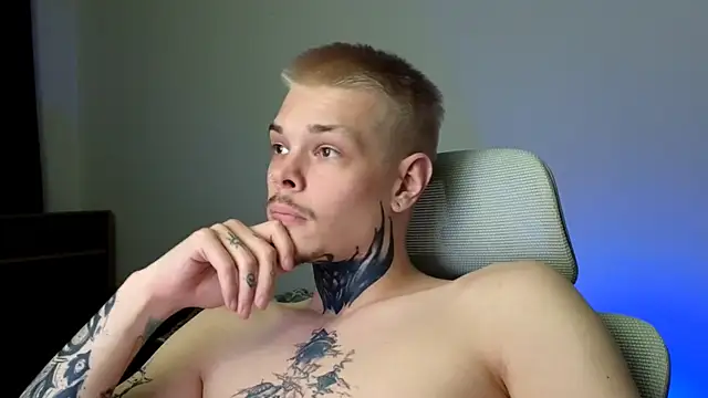 DENIS_HERE webcam