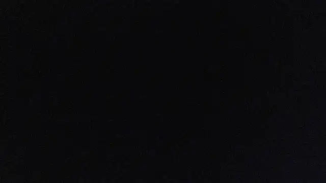 SpiderIily webcam