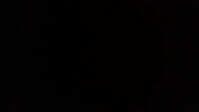 avans_15 webcam