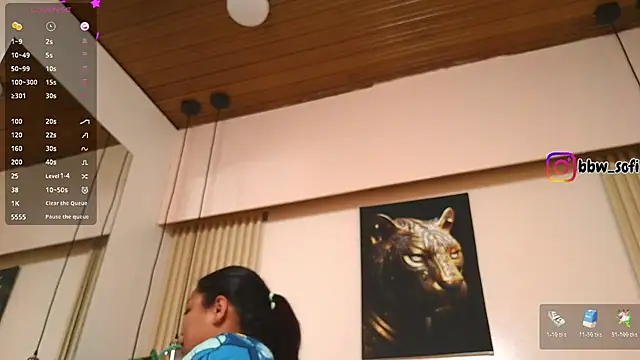 virtual_charm webcam