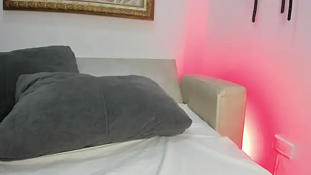 Sunny_OS webcam