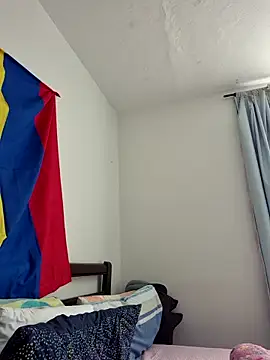 IrisBound webcam