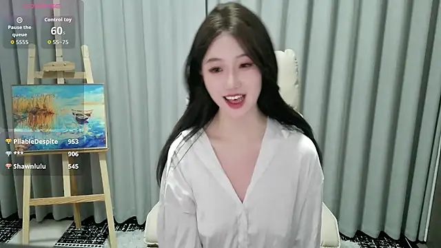 LUNYI-CC webcam