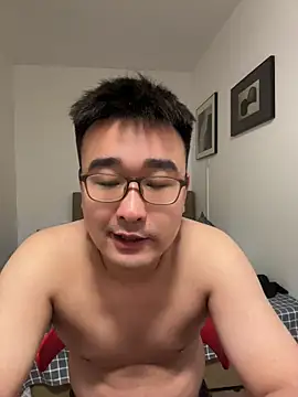 bobo-6688 webcam