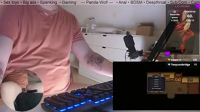 Panda-Wolf webcam
