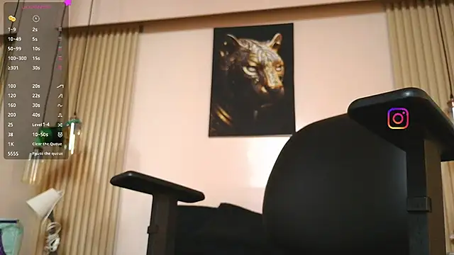 virtual_charm webcam