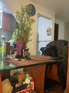 Carola-Ross webcam