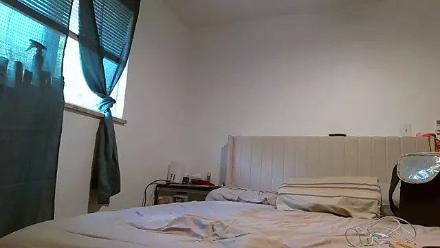 Tattedupdek webcam