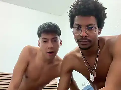 BullBreeder webcam