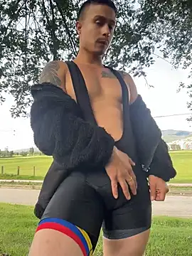 DominickSullivan webcam