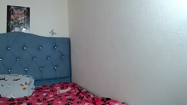 VICTORYXS1 webcam