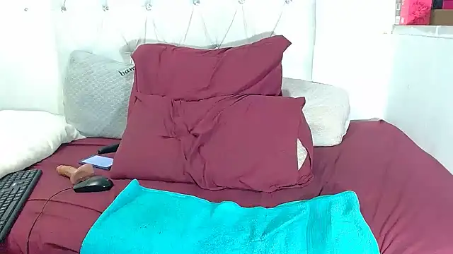 BaselBlues webcam