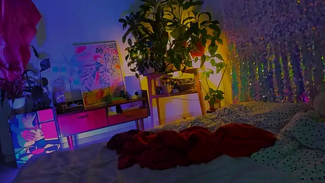 poli__ webcam