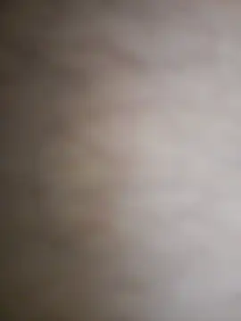 S1sexydick