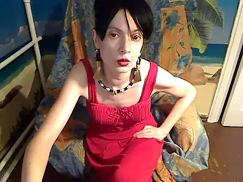 Bastet12 webcam