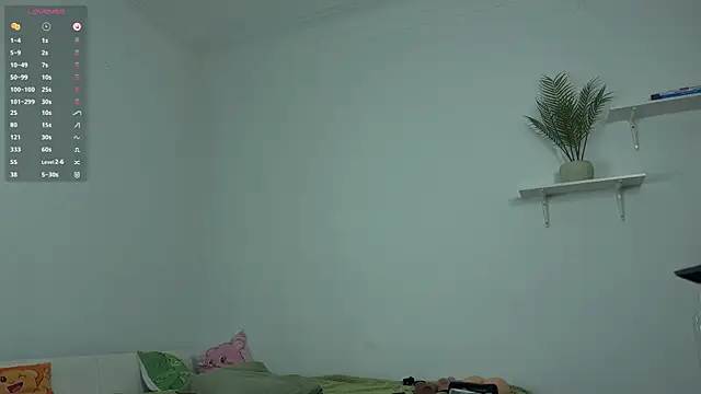 imadri webcam